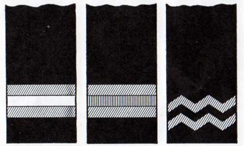 Sleeve Stripes - Purser, Surgeon, and Chief Steward