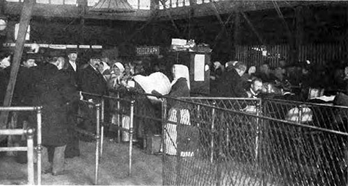 A Line of Immigrants at the Last Gate of The Barge Office.