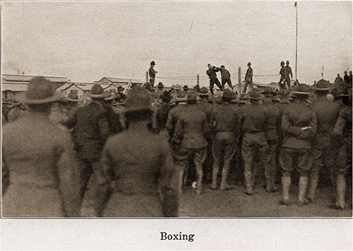 Boxing Matches Always Draw Large Crowds.