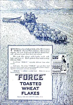 FORCE-Toasted Wheat Flakes Ad - 1913