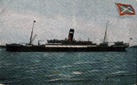 Vintage Postcard: Allan Line SS Victorian (1910)