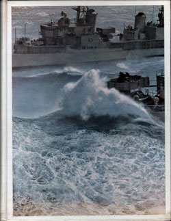 Naval Review 1965