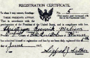 Draft Registration Certificate - Gjenvik
