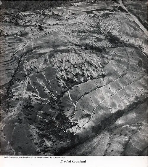 View of Eroded Cropland. Photograph by Soil Conservation Service, U.S. Department of Agriculture.