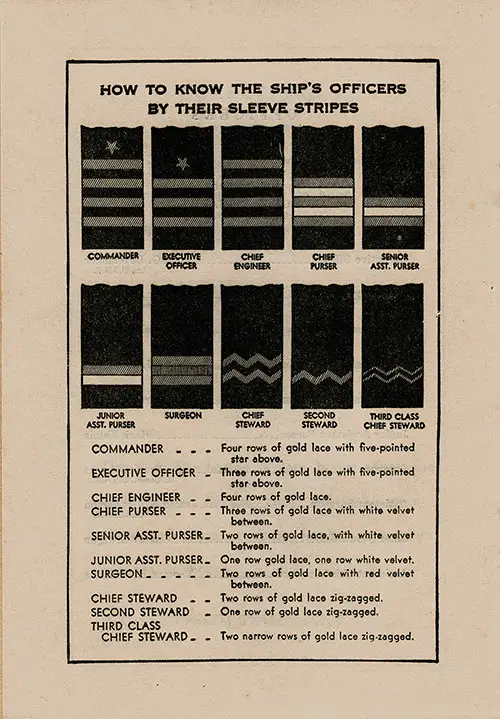 Identification of the Ship's Officers by Their Sleeve Stripes.