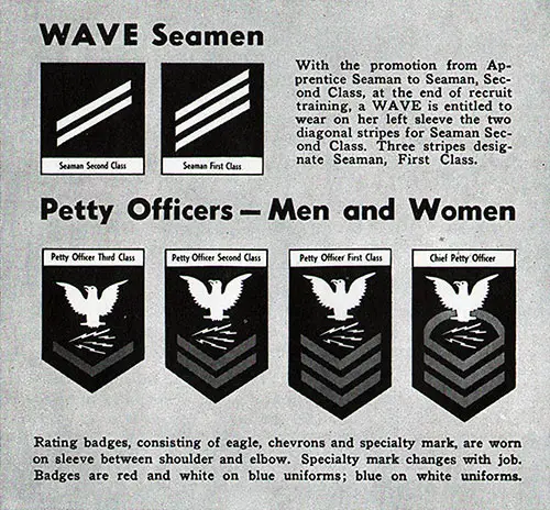 WAVE Seamen and Petty Officers -- Men and Women.