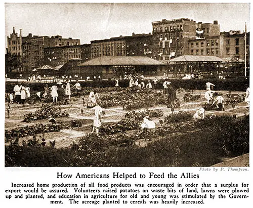 How Americans Helped Feed the Allies.